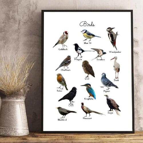 Wall Art Canvas Painting Modular Picture Birds Prints Montessori Educational Poster Nature Study Learning Prints Kids Home Decor