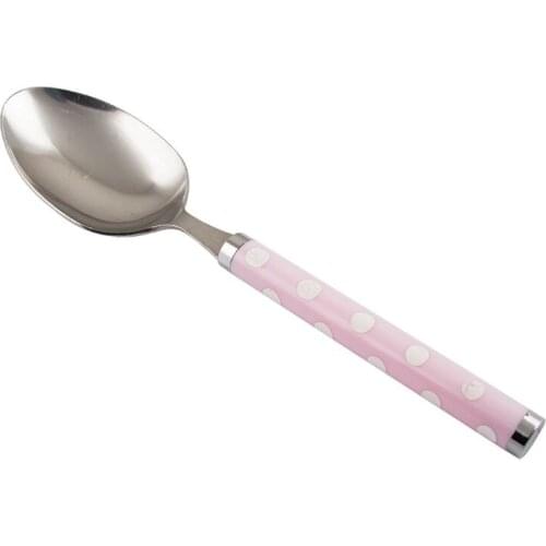 EWs Acrylic Single Meal Spoon