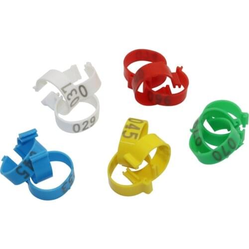 Poultry Leg Chick Duck Goose Animal Identification Tool Poultry Feeding supplies Plastic Duck Goose Identification Foot Ring