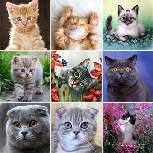 DIY 5D Diamond Painting Cat Full Round Drill Animals Mosaic Diamond Embroidery Cross Stitch Rhinestones Wall Sticker Decor Gift