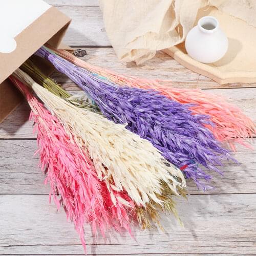 25Pcs Colorful Wheat Ear Grass Dried Flowers Bouquets Real Flower Plant Stems Natural Material Shooting Props Wedding Decor