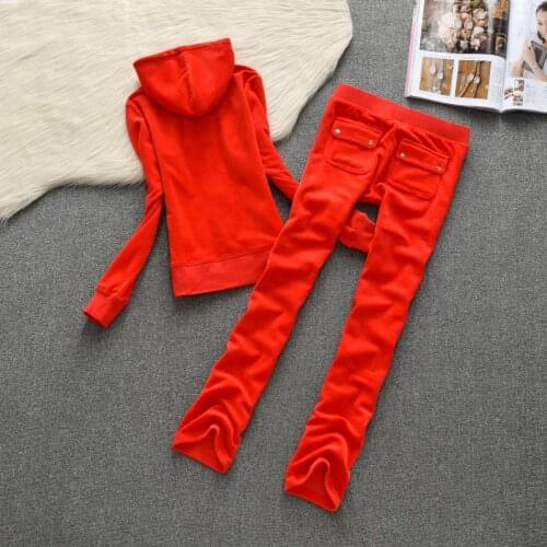 Spring/Fall 2021 Womens Velvet Fabric Tracksuits Velour Suit Women Track Suit Hoodies And Pants fat sister sportswear