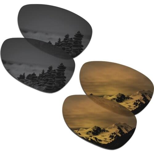 SmartVLT 2 Pairs Polarized Sunglasses Replacement Lenses for Oakley Felon Stealth Black and Bronze Gold