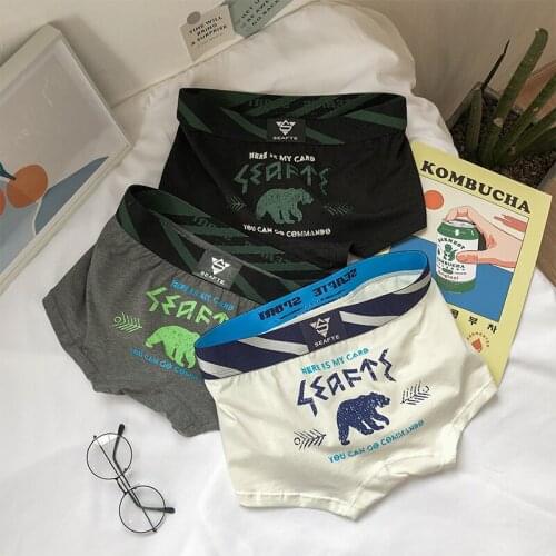 3 Pieces Mens Panties Cartoon Print Men Underwear Boxer Cotton Mid Waist Soft Men Boxer Shorts Breathable Trend Underpants New