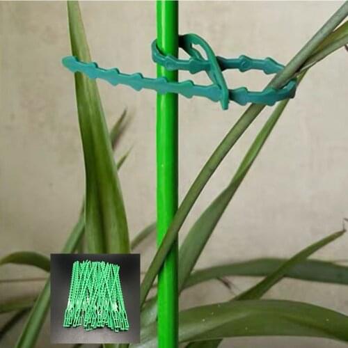 50pcs Adjustable Plastic Plant Cable Ties Gardening tools for Garden Tree Climbing Support Plant Vine Tomato Stem Clips