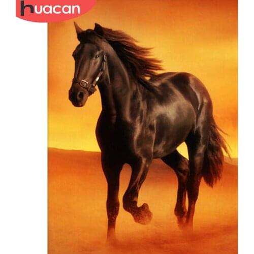 HUACAN Diamond Painting Embroidery Horse Full Square/round Diamond Mosaic Animal Cross Stitch Wall Decor