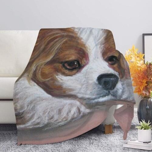 Upetstory Cute Cat Pattern Throw Blanket Fleece Plush Warm Sofa Blanket Childrens Room Teenage Girl Quilt Blanket