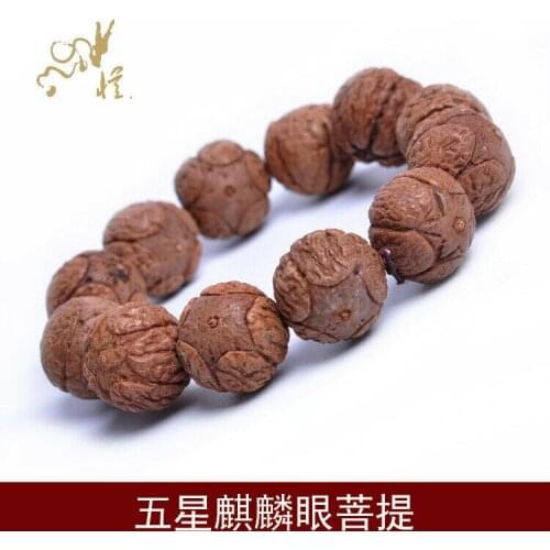 Tibetan Five-Star Kylin Eye Bodhi Tibet Buddhism Amulet Bracelet