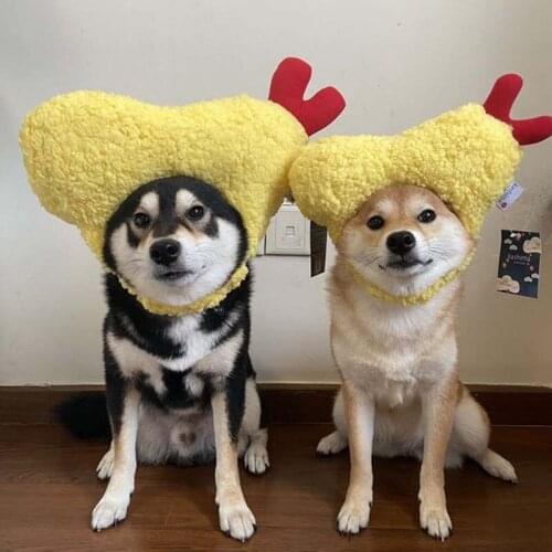 HSWLL Hats For Dogs