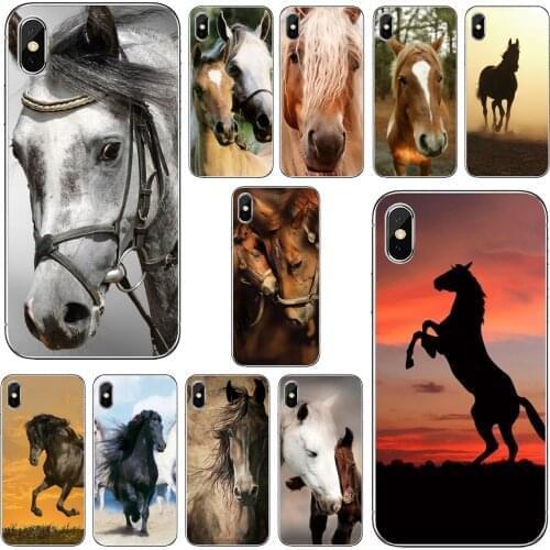 For Samsung Galaxy A12 A31 A41 A51 A71 A20e A21s M30 A10 A30 A40 A50 A60 A70 Silicone Phone Skin Cover Amazing-horse