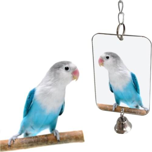 1Pc Parrot Bird Parakeet Hanging Mirror Bell Play Toy Cage Decoration Pet Supplies