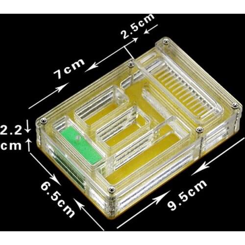 Acrylic ant nest ant ornamental box pet nest give ants a warm paradise Ant feeding box
