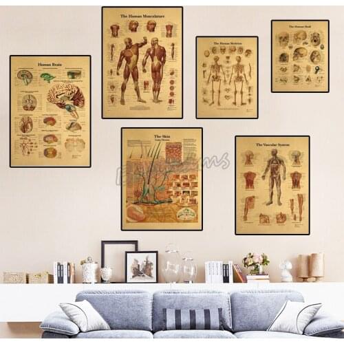 Retro Poster Human Body Structure Skeleton Nervous System Picture Medical Laboratory Decoration Canvas Painting