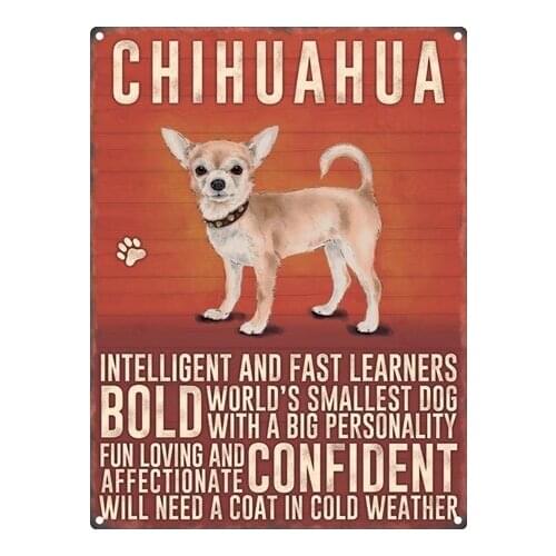 Intelligent And Bold Chihuahua Tin Sign