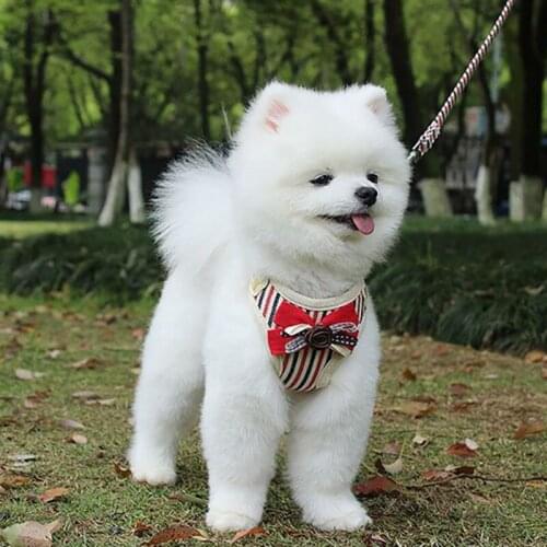 Adjustable Chest Pet Chest Vest Dog Harnesses Pet Collars Pet Chest Back Traction Belt Walking Lead Leash Strap Belt