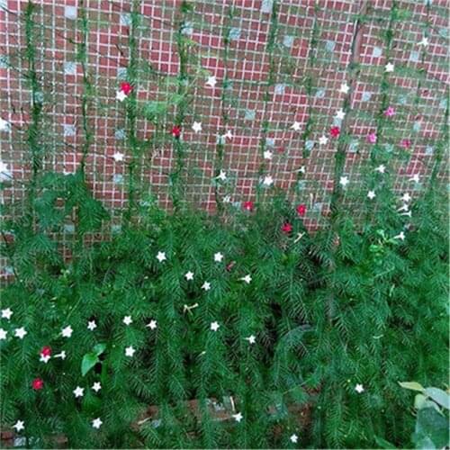 Garden Plants Climbing Net Plastic & Nylon Net Morning Glory Flower Vine Netting Support Net Grow Net Holder Garden Netting