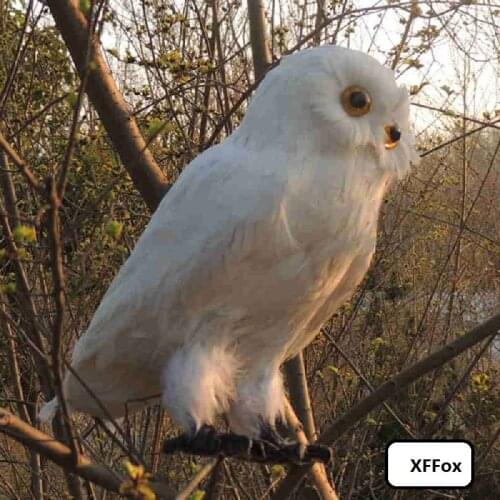 White simulation owl model foam&furs real life owl bird toy gift about 30cm xf1084