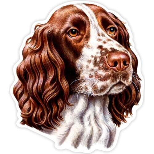S40228# Various Sizes PVC Decal English Springer Spaniel Car Sticker Waterproof on Bumper Rear Window Laptop Refrigerator Toilet