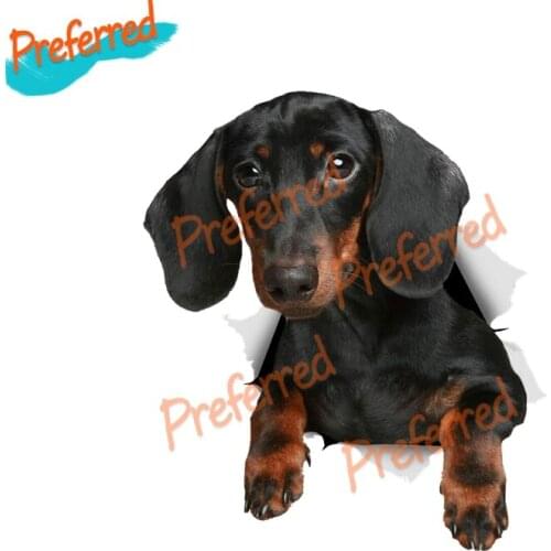 High Quality 3D Black Dachshund Dog Decal Motocross Racing Laptop Helmet Trunk Wall Vinyl Car Sticker Die Cutting