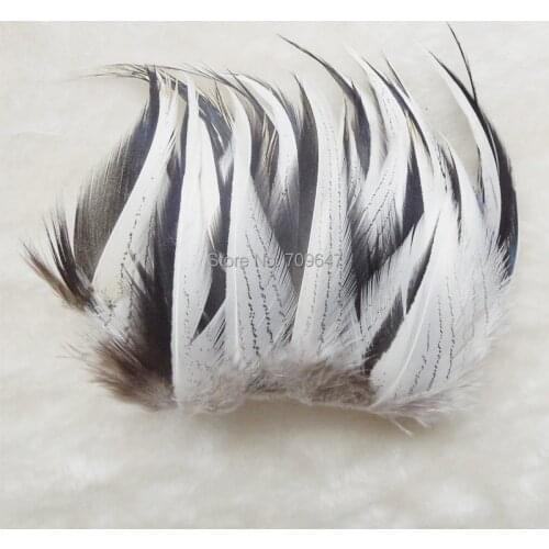 50pcs/Lot 5-8CM Loose Nature Silver Pheasant Plumage Feathers for Jewelry Making,Costumes,Rare Feathers