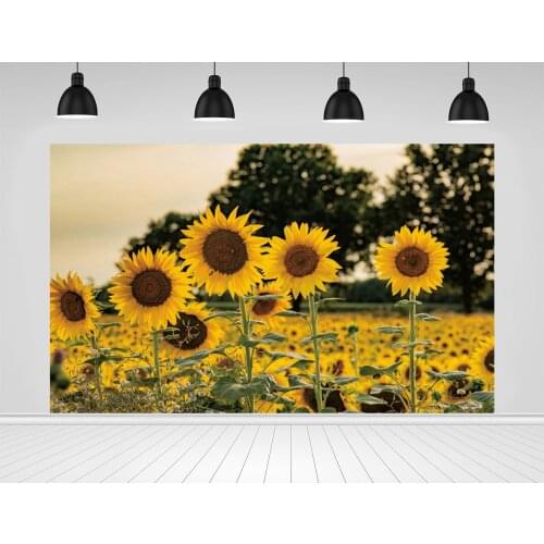 Scopiso Beautiful Sunflower Field Flowers Sun Photographic Backdrops for Photo Studio Decoration Props Photography Backgrounds