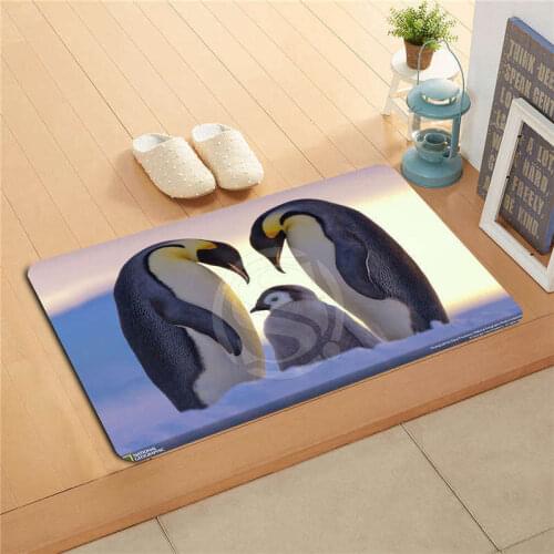 Shunqian Entrance Carpets For Home