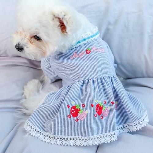 Teddy Dog Clothing Small Dog Bichon Pomeranian Cat Poodle Yorkshire West Highland White Terrier Spring Summer Dress Cat Skirt