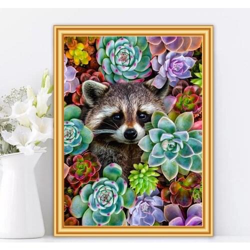 DIY 5D Diamond Painting Succulent Plants Full Drill Square Round Embroidery Raccoon Animal Mosaic Art Picture of Rhinestones