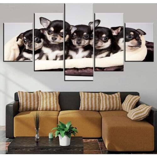 5pcs/set diy diamond Painting Chihuahua dog full square/round drill 5d mosaic diamond embroidery animal pet dog multi-picture