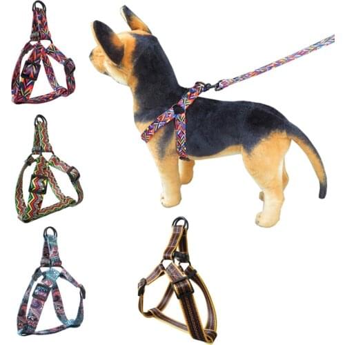 Pretty Dog Collar Harness Leash Set For Small Medium Teddy Chihuahua Belt Straps Adjustable Necklace Leads Rope Pet Accessories