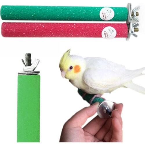 1pcs Wood Bird Claw Beak Grinding Bar Standing Stick Parrot Station Pole Grinding Stand Claws Bird Supplies Cage Accessories
