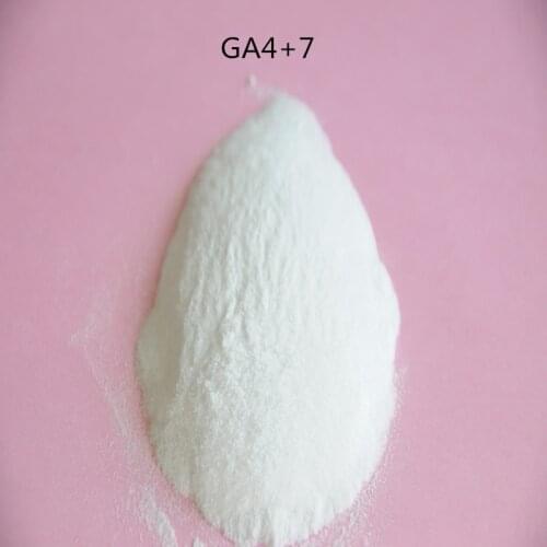 High quality GA4+7, Gibberellin,GA4+7 Gibberellin A4+7 Auxin with high quality and low price