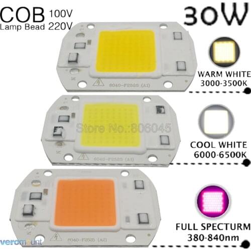 Smart IC High Power LED Matrix for Projectors 30W AC 110V 220V DIY COB LED Diode Chip Lamp Cool White Warm White Full Spectrum
