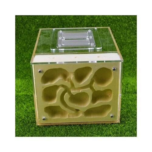 Pet ant nest workshop breeding breeding nest acrylic gypsum aerated brick closure