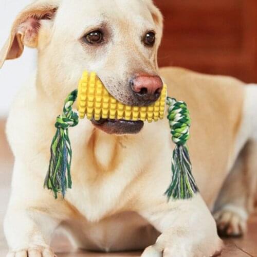 Dog chew toys accessories jaw exerciser chew ball for toothbrush pet toys interactive teeth games for dogs perros productos