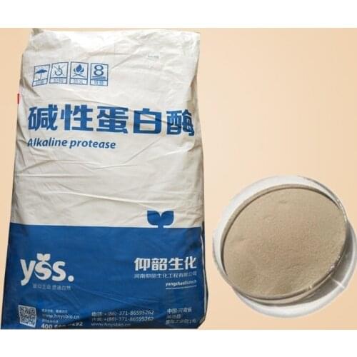 Alkaline protease detergent enzyme