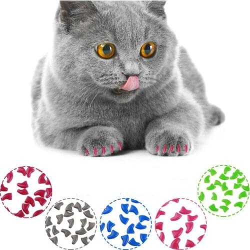 20pcs Soft Cat Nail Caps / Cat Nail Cover / Paw Claw / Pet Silicon Nail Protector with Free Glue and Applictor Pet Grooming