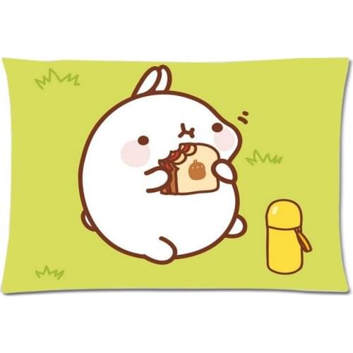 Molang rabbit Custom Two Side Printed Comfortable Polyester Pillowcase/Pillow Cases/Pillow Slip/ Pillow Cover/50x75cm