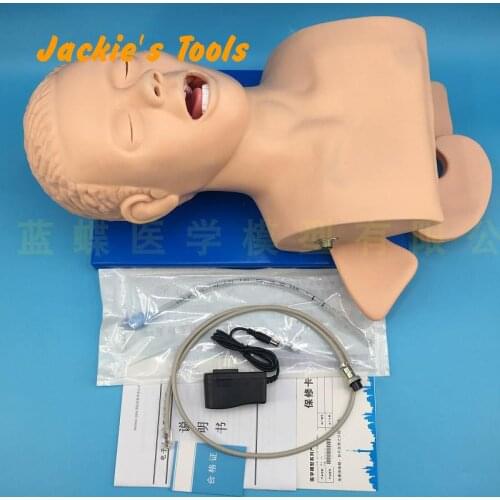 Intubation Manikin Study Teaching Model Airway Management Trainer PVC With Teeth