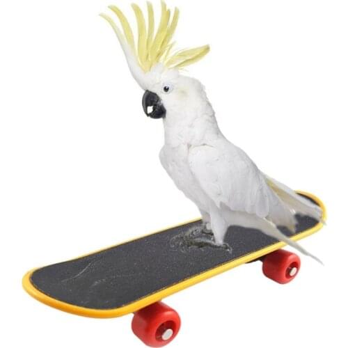 Bird Toy Training Skateboard Pet Intelligence Foot-talon Toys Training Mini Skateboard Stand Perch For Parrot