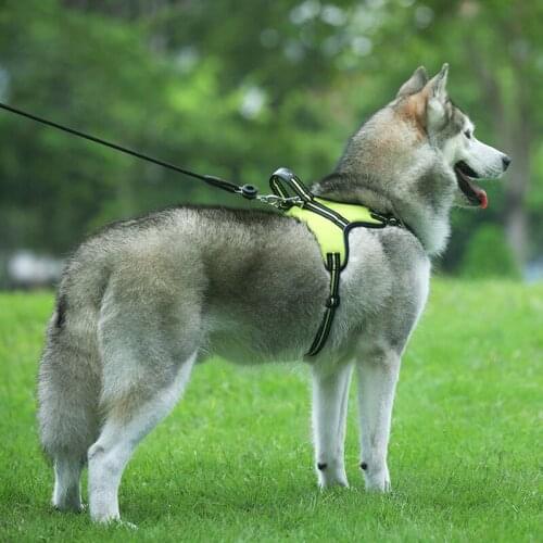 Pet Dog Harness Leash Adjustable Harnesses Vest Breathable Mesh Oxford Cloth for Dogs Outdoor Running Leashes Pet Supplies