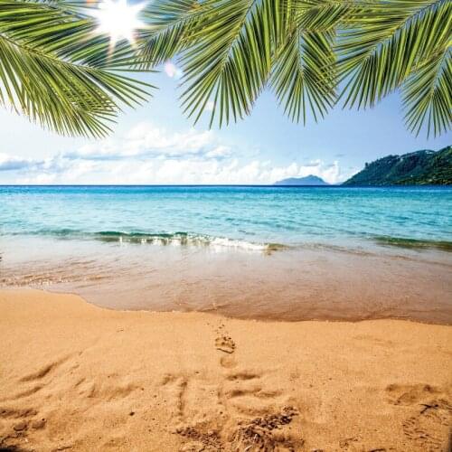Laeacco Natural Backgrounds Tropical Summer Sea Beach Sand Blue Sky Island Scenic Photographic Backdrop Photocall Photo Studio