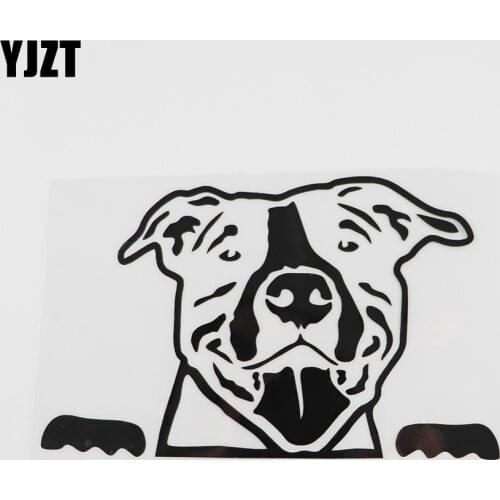YJZT 16.3CMX10.2CM Cute PITBULL Face Peeping Vinyl Car Sticker Black/Silver 8A-0015