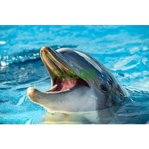 Diamond painting 5D Home Decor Gift Cuadros haft diamentowy kit set Full square Cross stitch DIY animal Mosaic art dolphin fish