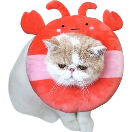 Cat Collar Pet Recovery Collar Cute Lobster Pet Protective Collar for Kittens Anti-Bite Lick Surgery Wound Healing Protective