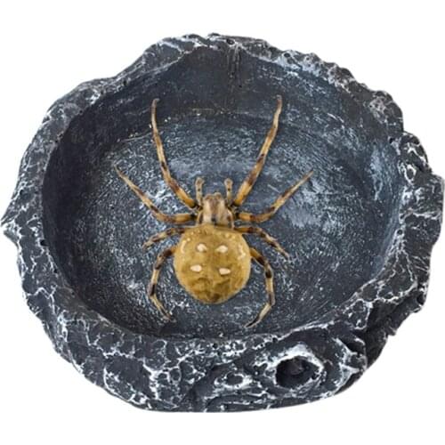 Resin Non-toxic Food Water Pot Pet Reptile Feeder Bowl Washbasin Reptile Turtle Tortoise Scorpion Lizard Crabs Pets Supplies