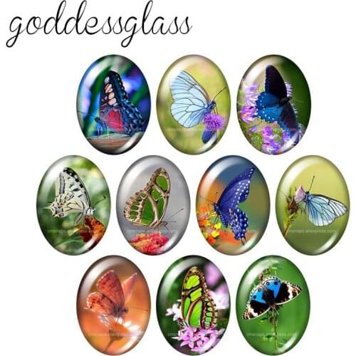 Beauty Vivid Butterfly 10pcs mixed 13x18mm/18x25mm/30x40mm Oval photo glass cabochon demo flat back Making findings TB0129