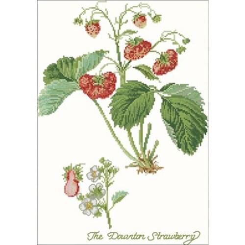 Hot selling Strawberry(2) patterns Counted Cross Stitch DIY Chinese Cross Stitch Kits Embroidery Needlework Sets