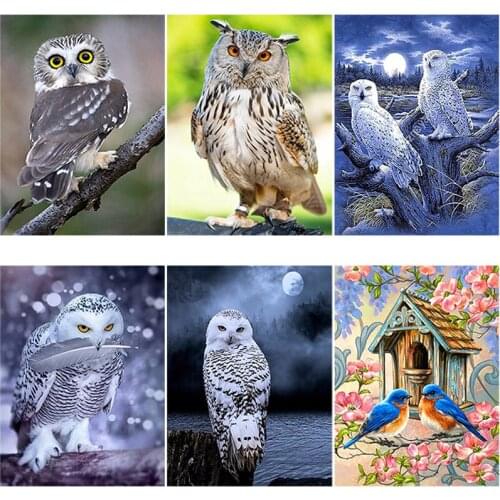 DIY 5D Diamond Painting Owl Animal Mosaic Diamond Embroidery Cross Stitch Rhinestone Full Round Drill Manual Hobby Home Decor