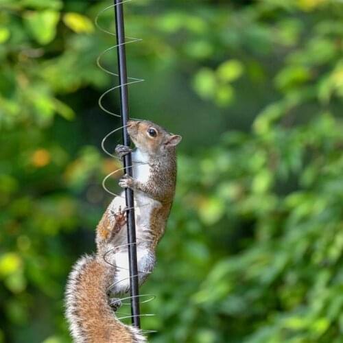 Wonderlife Outdoor hummingbird feeder with squirrel-proof spring